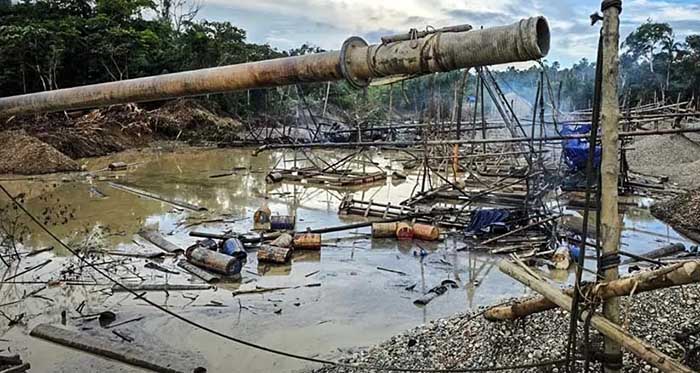 Madre de Dios: así funciona el sistema de extorsiones, amenazas y asesinatos que devasta los bosques en La Pampa